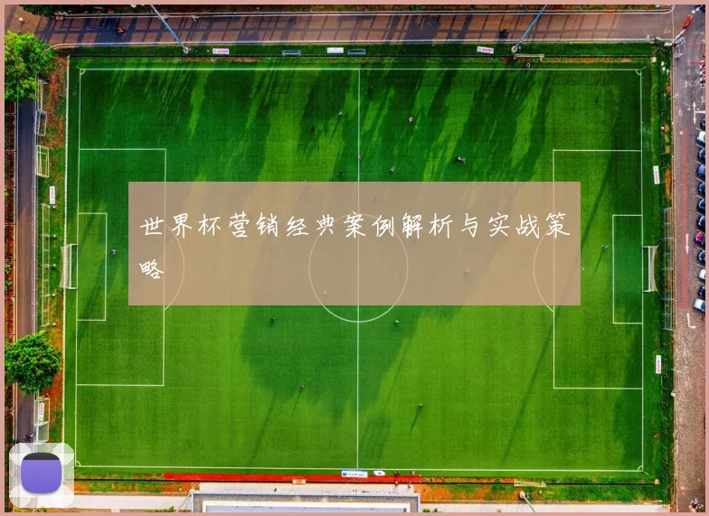 世界杯营销经典案例解析与实战策略