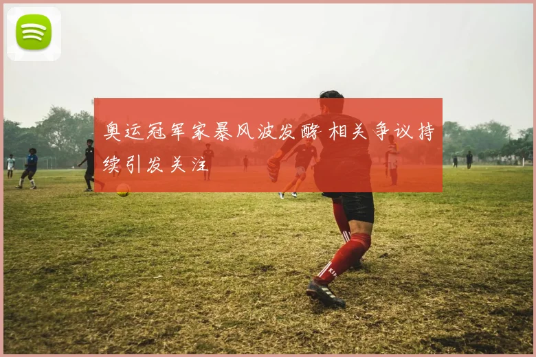 奥运冠军家暴风波发酵 相关争议持续引发关注