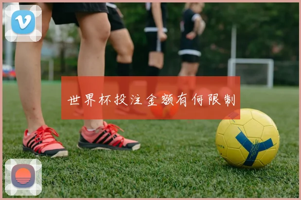 世界杯投注金额有何限制