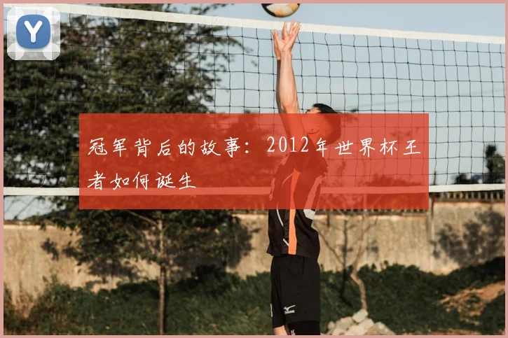 冠军背后的故事:2012年世界杯王者如何诞生