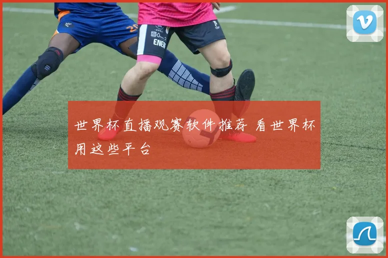 世界杯直播观赛软件推荐 看世界杯用这些平台