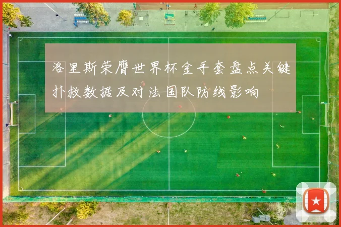 洛里斯荣膺世界杯金手套盘点关键扑救数据及对法国队防线影响